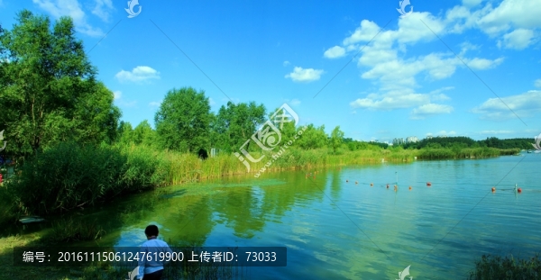濕地