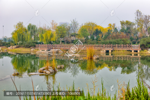 水系園林景觀