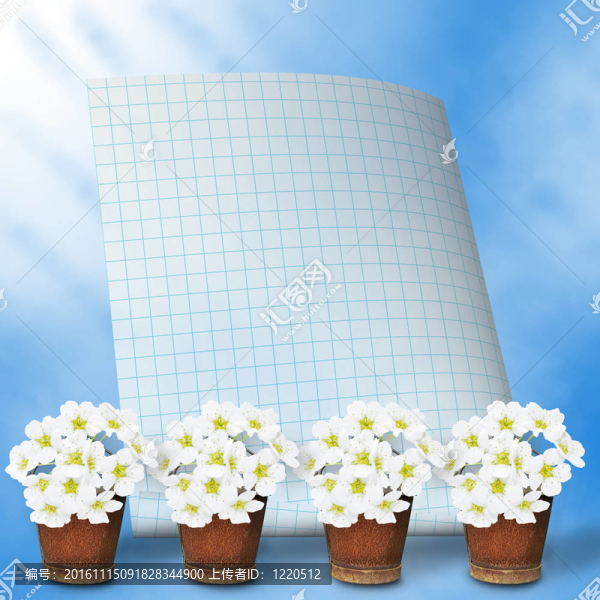 問候或祝賀花環(huán)花卡