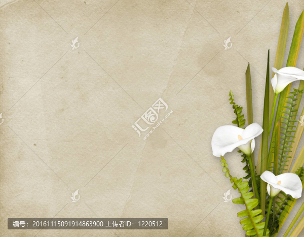 邀請或祝賀的鮮花卡