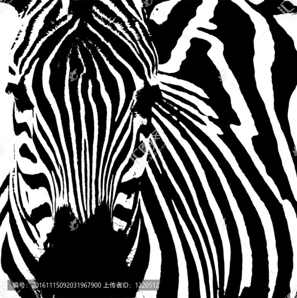 斑馬（斑馬）