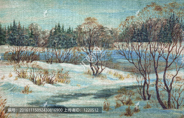冬季河流；景觀