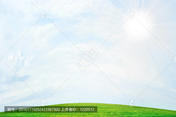 綠色的草地上