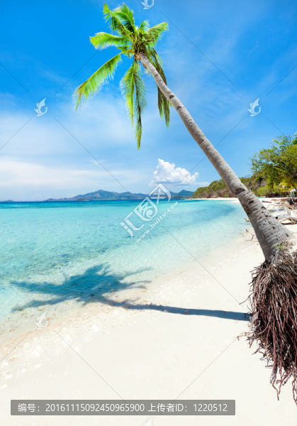 熱帶海灘Malcapuya