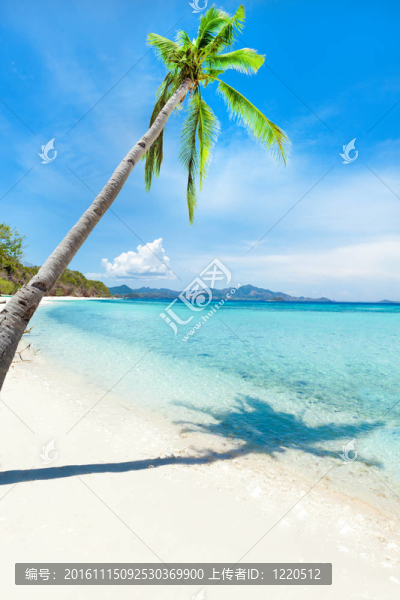 熱帶海灘Malcapuya
