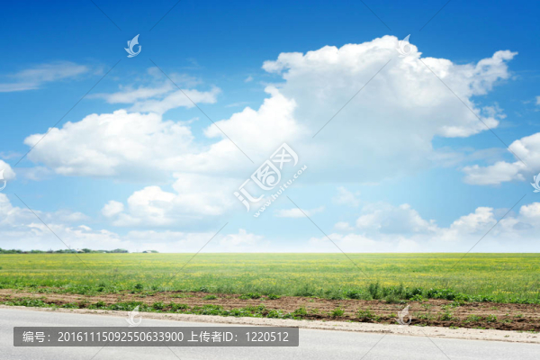 路線