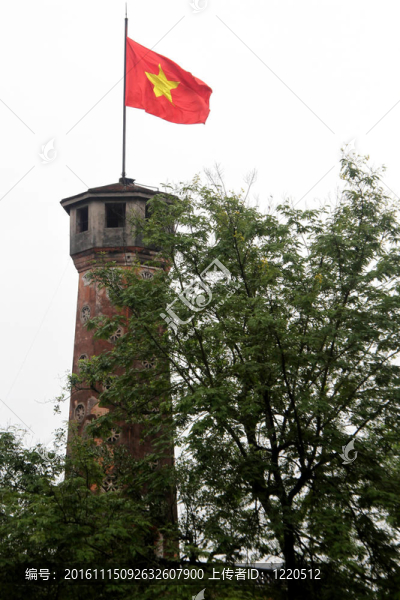綠化樹和紅旗