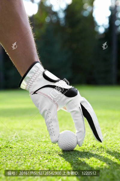 高爾夫球-匯圖網(wǎng) www.fosd68.com 高爾夫球