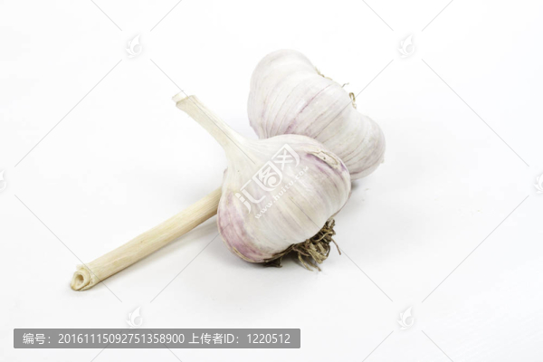 白色背景上的大蒜頭