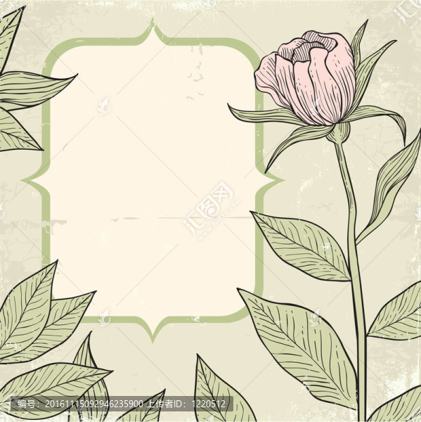 插圖的花