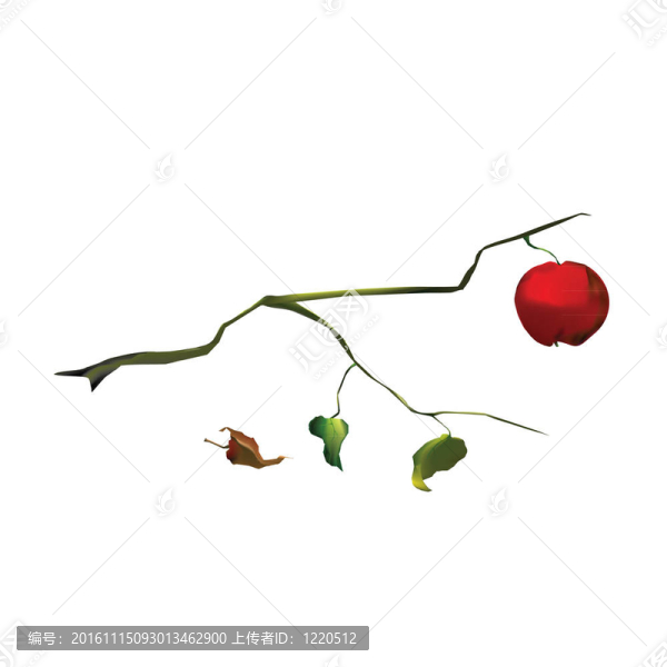 蘋果樹