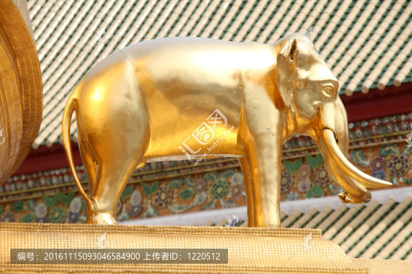 金大象