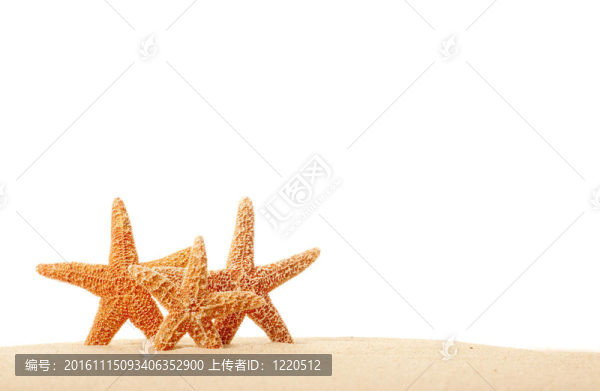 沙灘上的三只海星