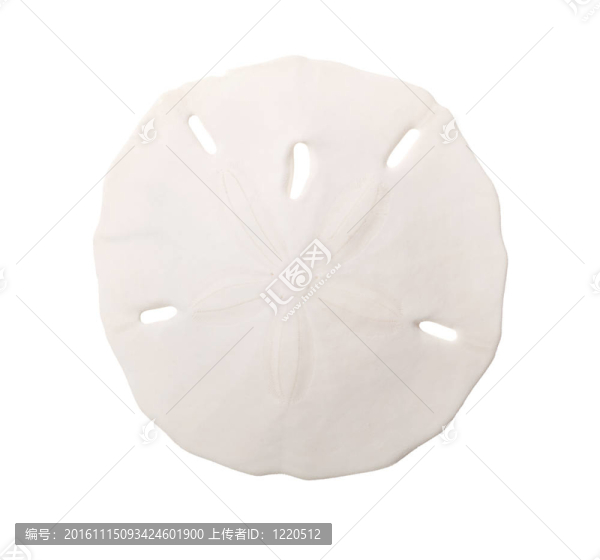 白色背景下的沙粒分離-匯圖網(wǎng) www.fosd68.com 白色背景下的沙粒分離