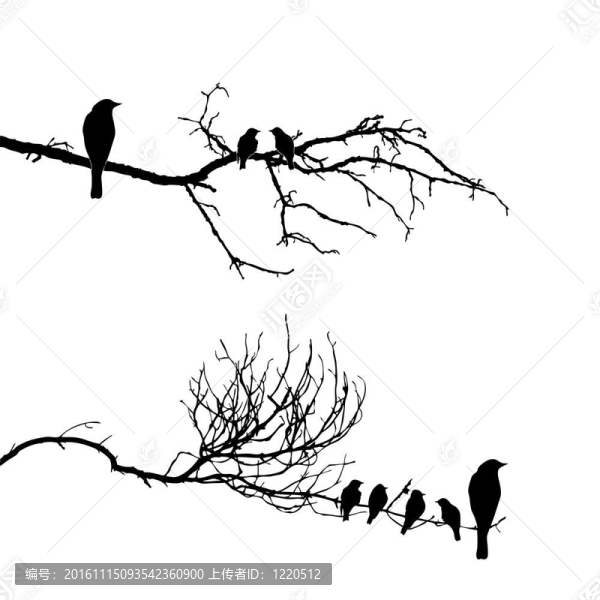樹枝上的鳥類剪影圖