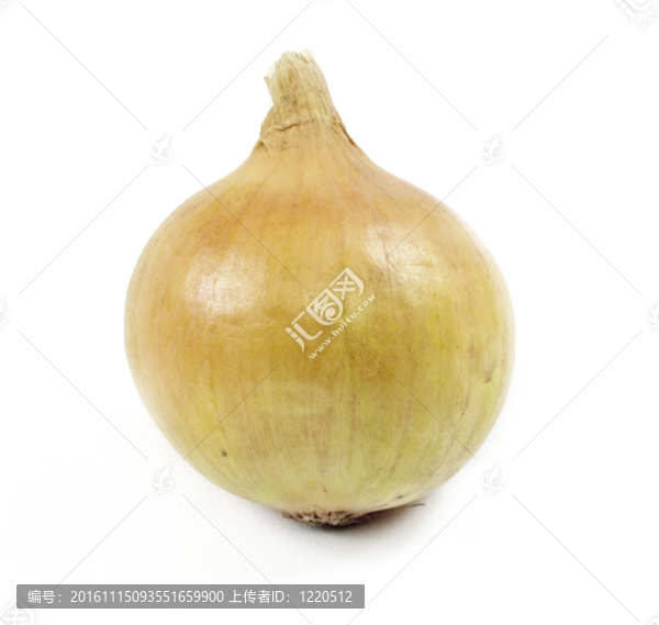 白色背景上的洋蔥