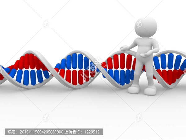 DNA