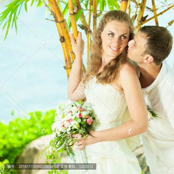 熱帶的婚禮