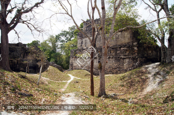 遺址在蒂卡爾-匯圖網(wǎng) www.fosd68.com 遺址在蒂卡爾