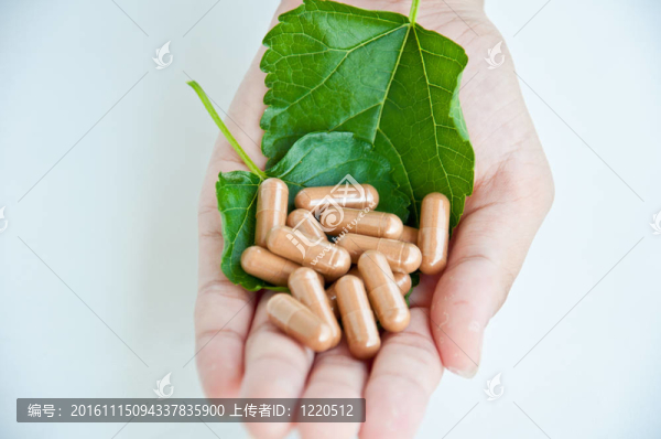 丸從自然