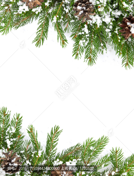 雪和錐體的圣誕框架