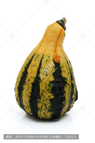 黃色和Green,Gourd