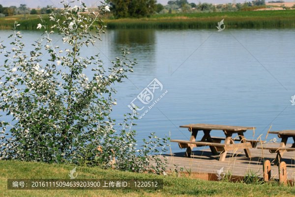 夏季的一天
