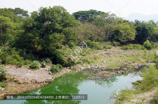 干燥的季節(jié)