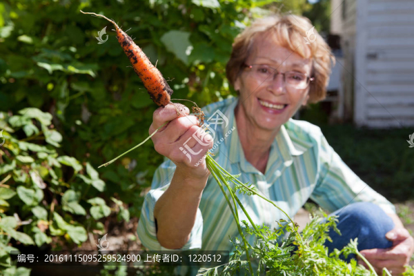 高級女子控股carrot