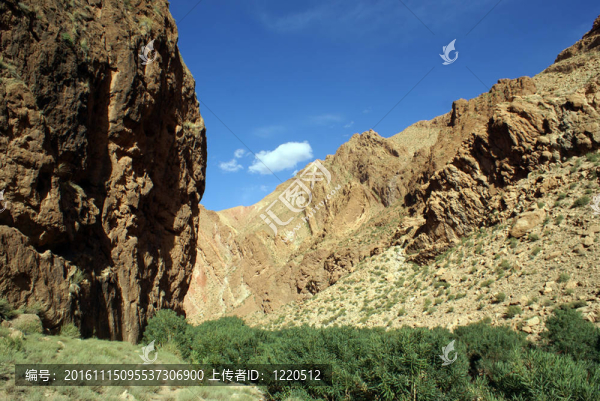 山-匯圖網(wǎng) www.fosd68.com 山