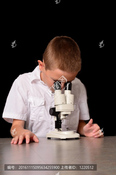 年輕的科學(xué)家