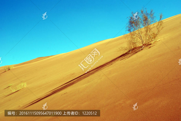 瓦迪拉姆