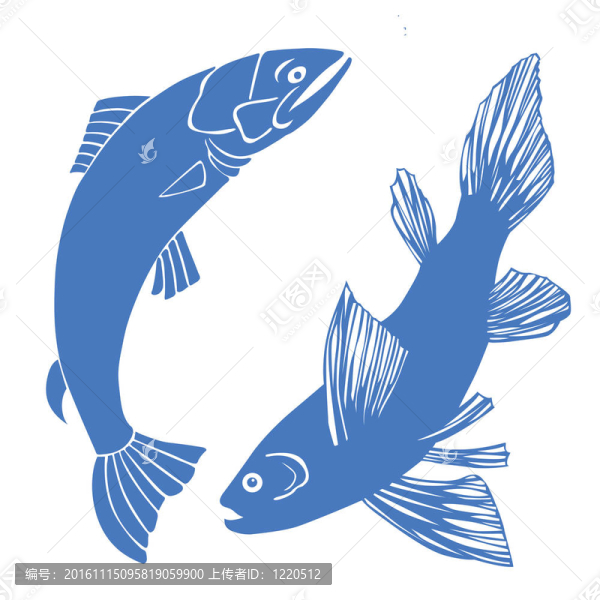 白色背景上的魚