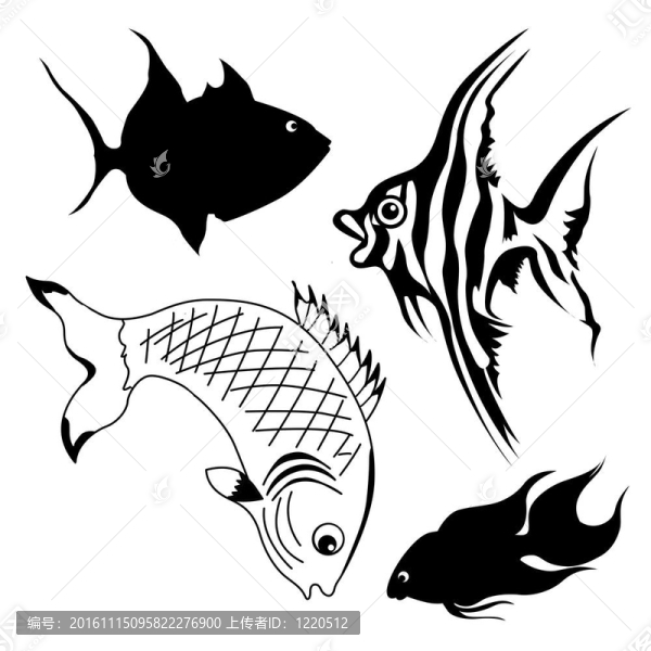白色背景上的魚(yú)