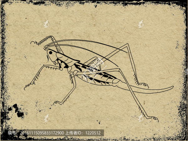 蚱蜢在垃圾背景剪影-匯圖網(wǎng) www.fosd68.com 蚱蜢在垃圾背景剪影