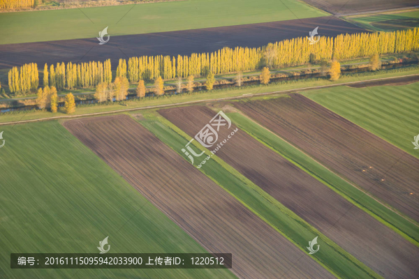 農(nóng)業(yè)視野與樹木線條