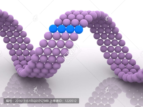 基因在DNA