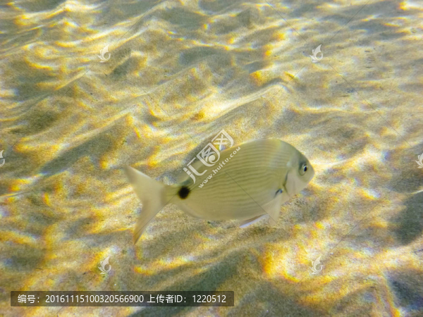 在愛琴海底