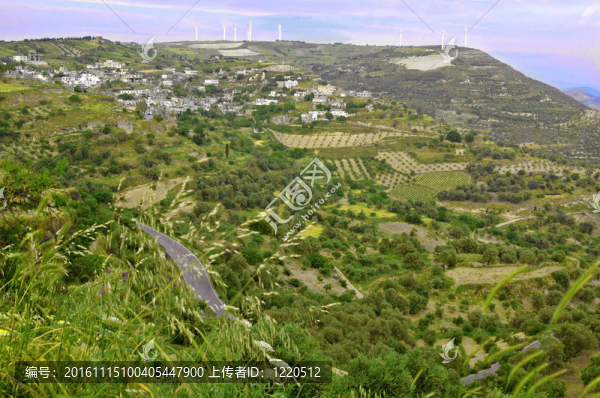 夏季與綠谷鎮(zhèn)的看法
