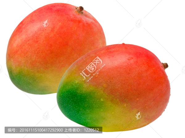 芒果-匯圖網(wǎng) www.fosd68.com 芒果