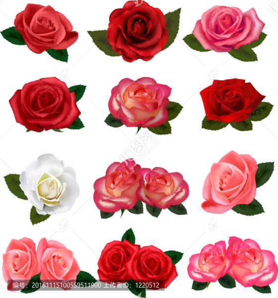 一朵美麗的玫瑰-匯圖網(wǎng) www.fosd68.com 一朵美麗的玫瑰