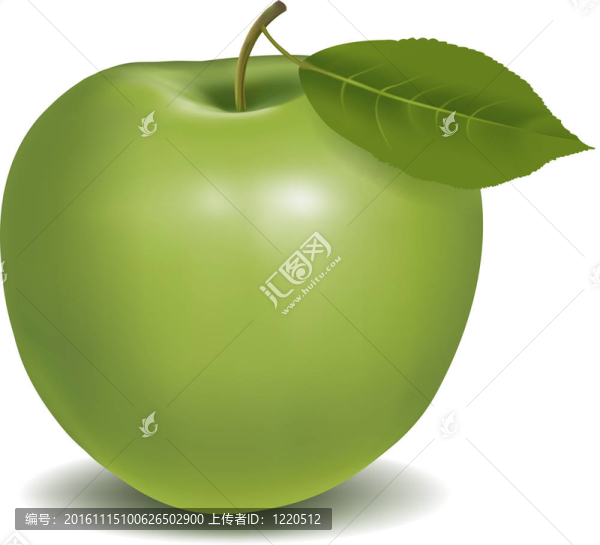 鮮綠蘋果葉