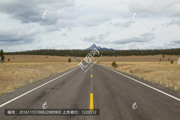 高速公路場景太thielsen