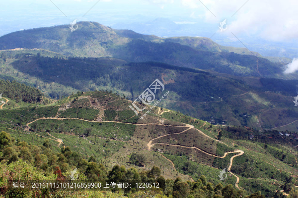 觀-匯圖網(wǎng) www.fosd68.com 觀