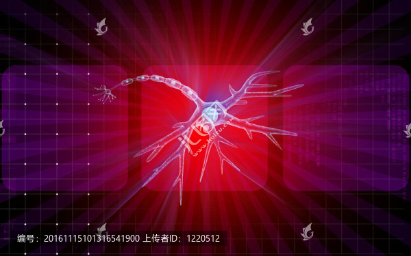 神經(jīng)元