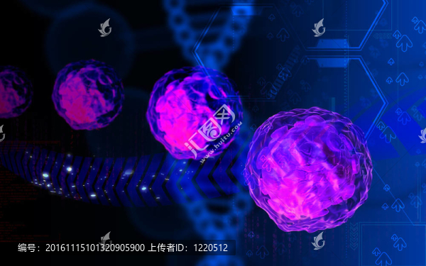 脊髓灰質(zhì)炎病毒