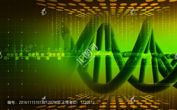 DNA