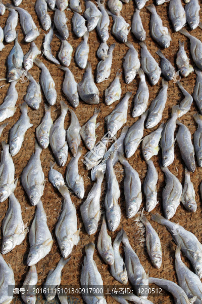 干魚-匯圖網(wǎng) www.fosd68.com 干魚