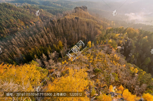秋天的景色-匯圖網(wǎng) www.fosd68.com 秋天的景色