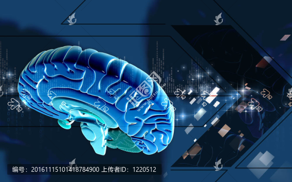 腦